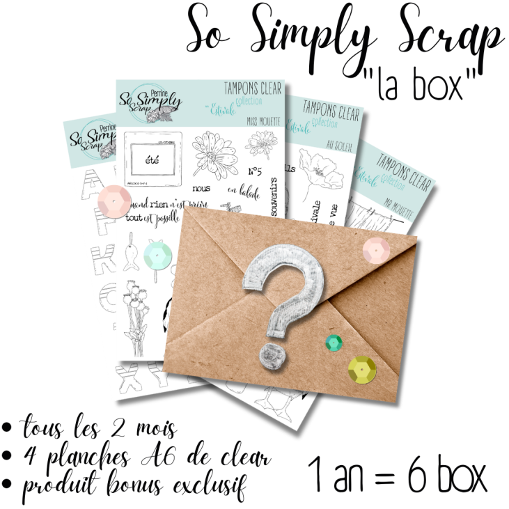 Box So Simply scrap * 1 an (6 box) * (prix pour 1 box, hors frais de port)